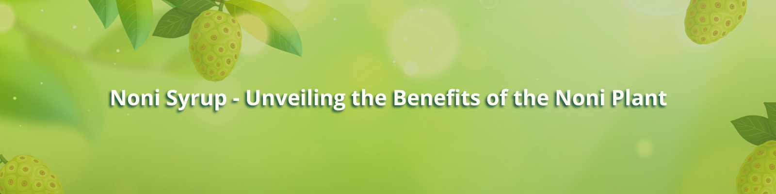 Benefits of Noni plant