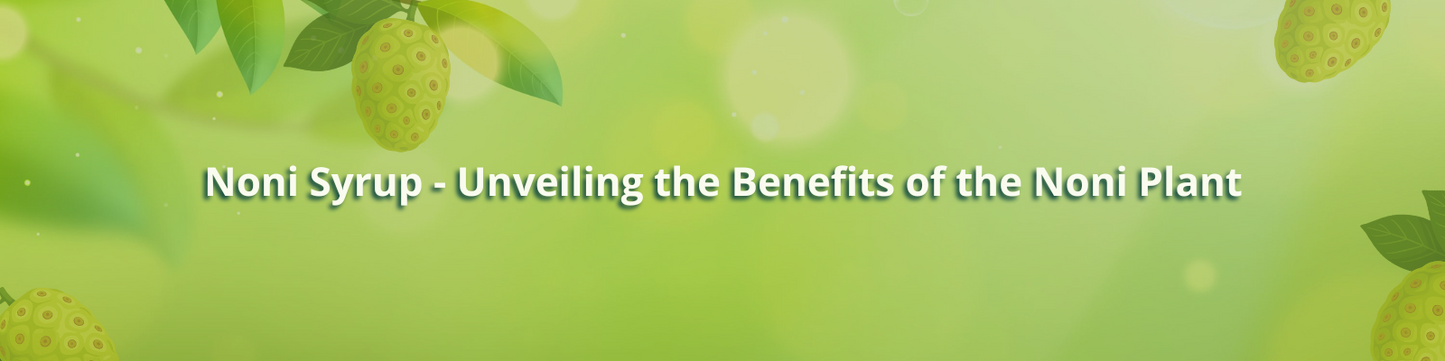 Benefits of Noni plant