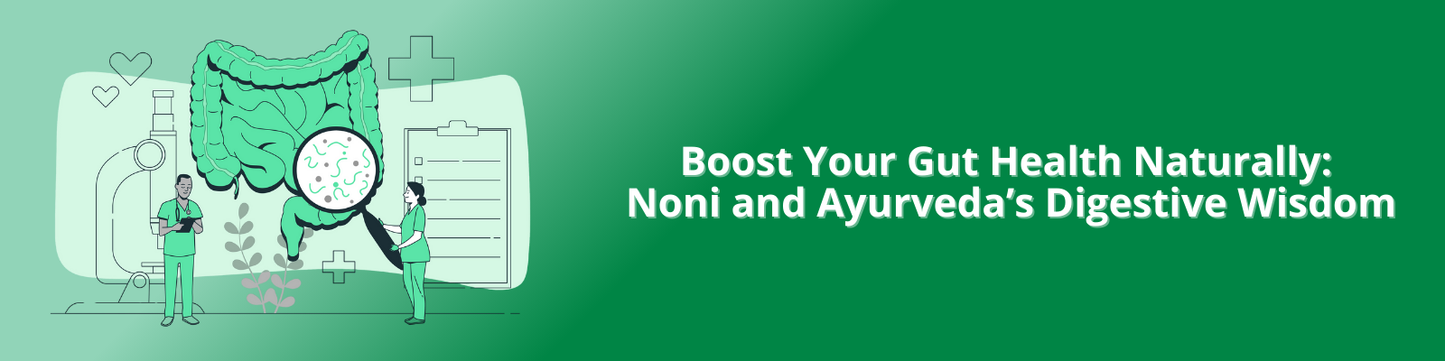 How ayurveda helps with boosting gut health