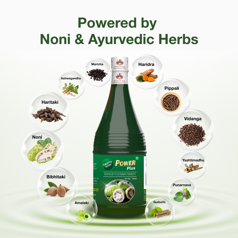 
                  
                    Amrith Noni Power Plus (500 ml)
                  
                