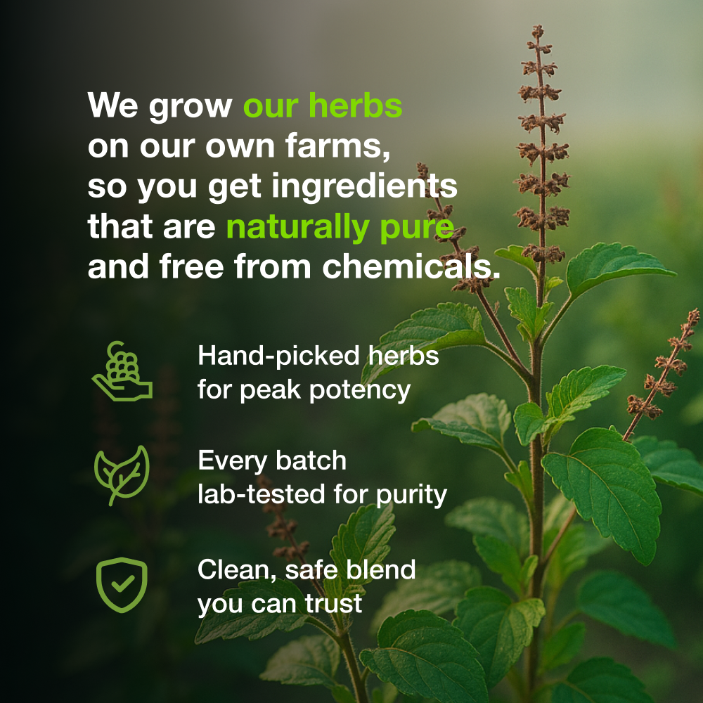 
                  
                    Amrith Noni Koff Clear (100 ml)
                  
                