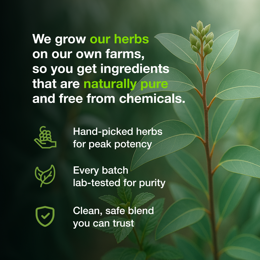 
                  
                    Amrith Noni Pain Oil Roll On - 50 ml
                  
                