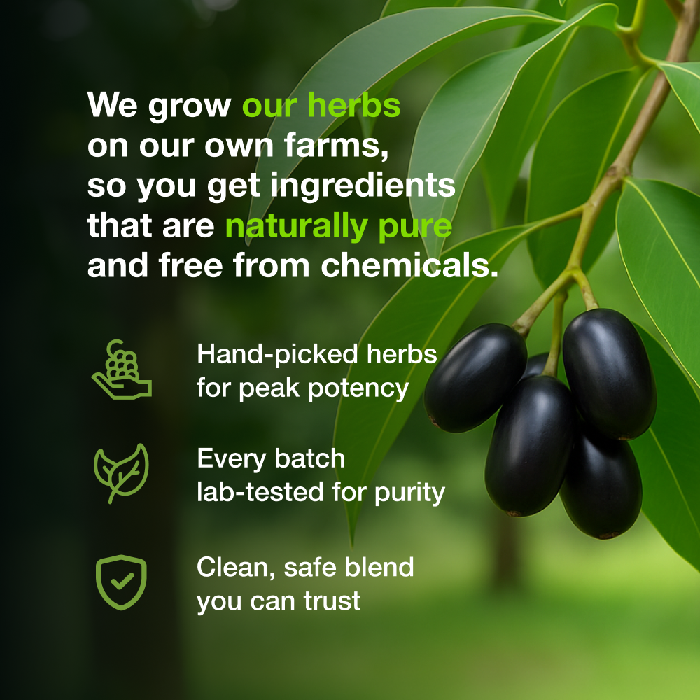 
                  
                    Amrith Noni D Plus | 500 ml
                  
                