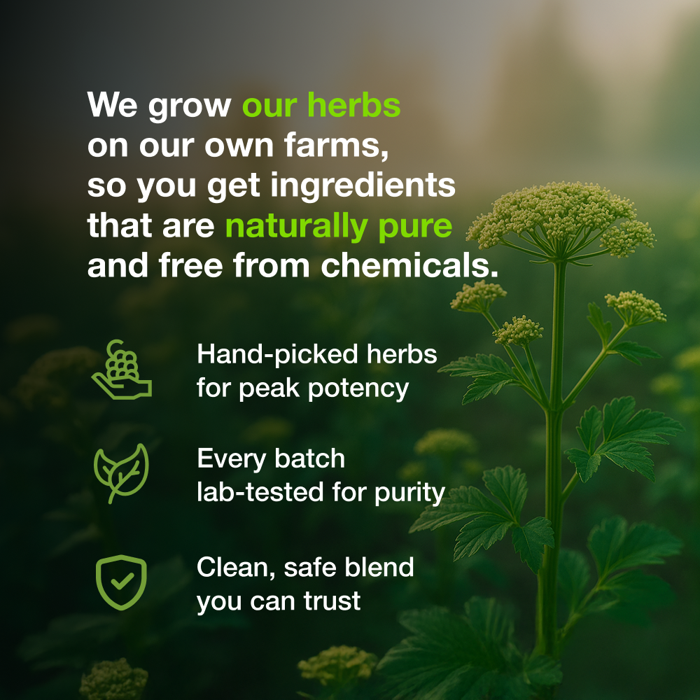 
                  
                    Amrith Noni Gastrine | 500 ml
                  
                