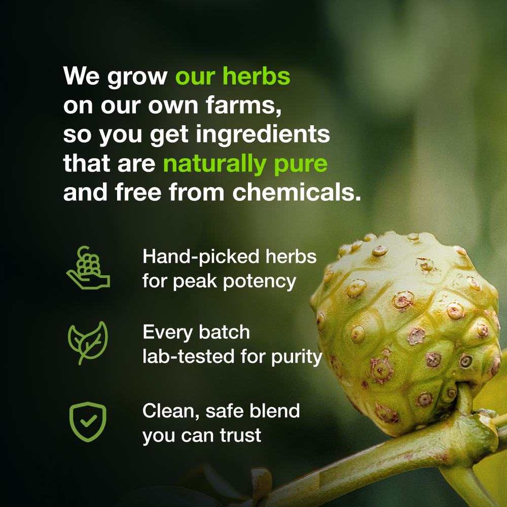 
                  
                    Amrith Noni Power Plus  - 1000ML
                  
                