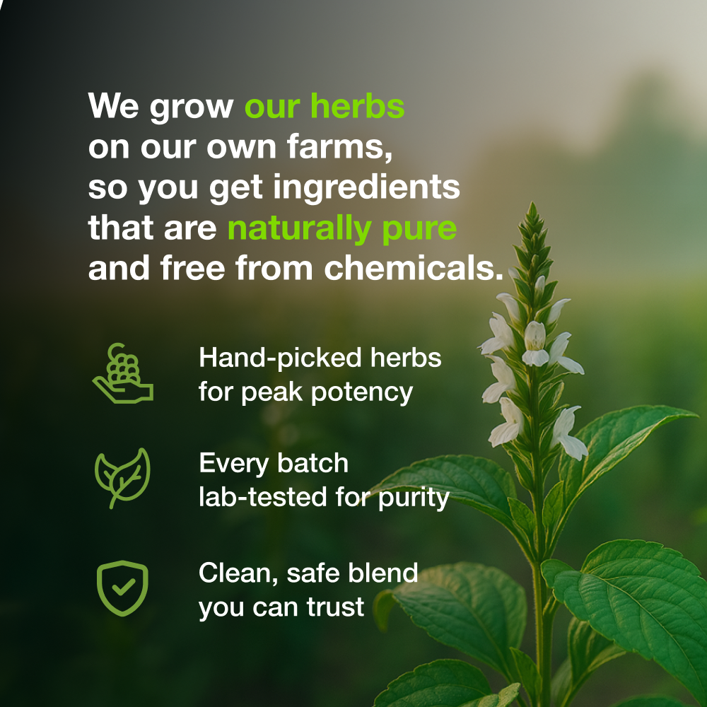 
                  
                    Amrith Noni Deep Breathe - 200ml
                  
                