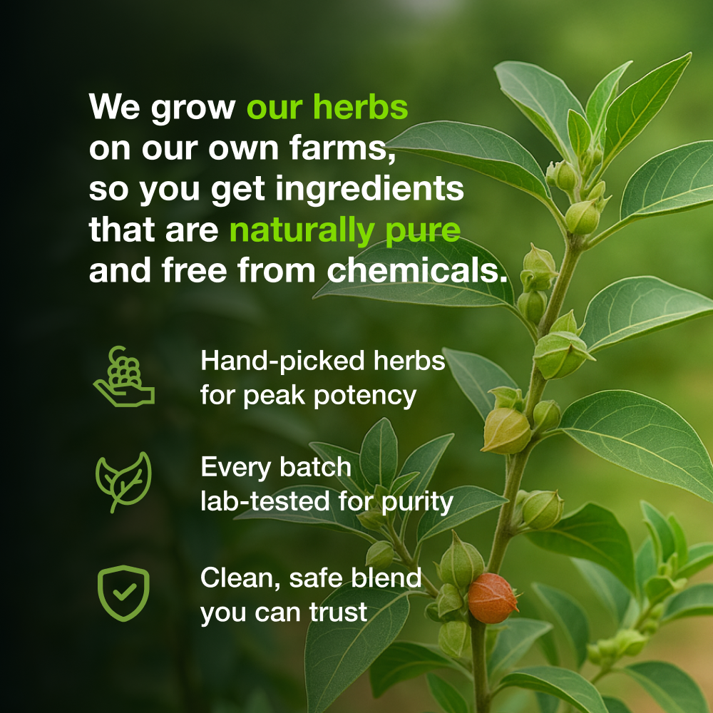 
                  
                    Amrith Noni Artho Plus | Syrup | 750 ml
                  
                