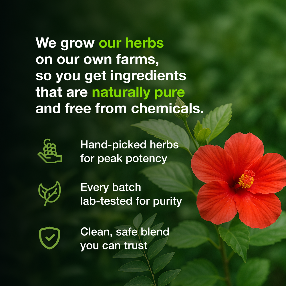 
                  
                    Amrith Noni Reach Root Premium Hair Oil
                  
                