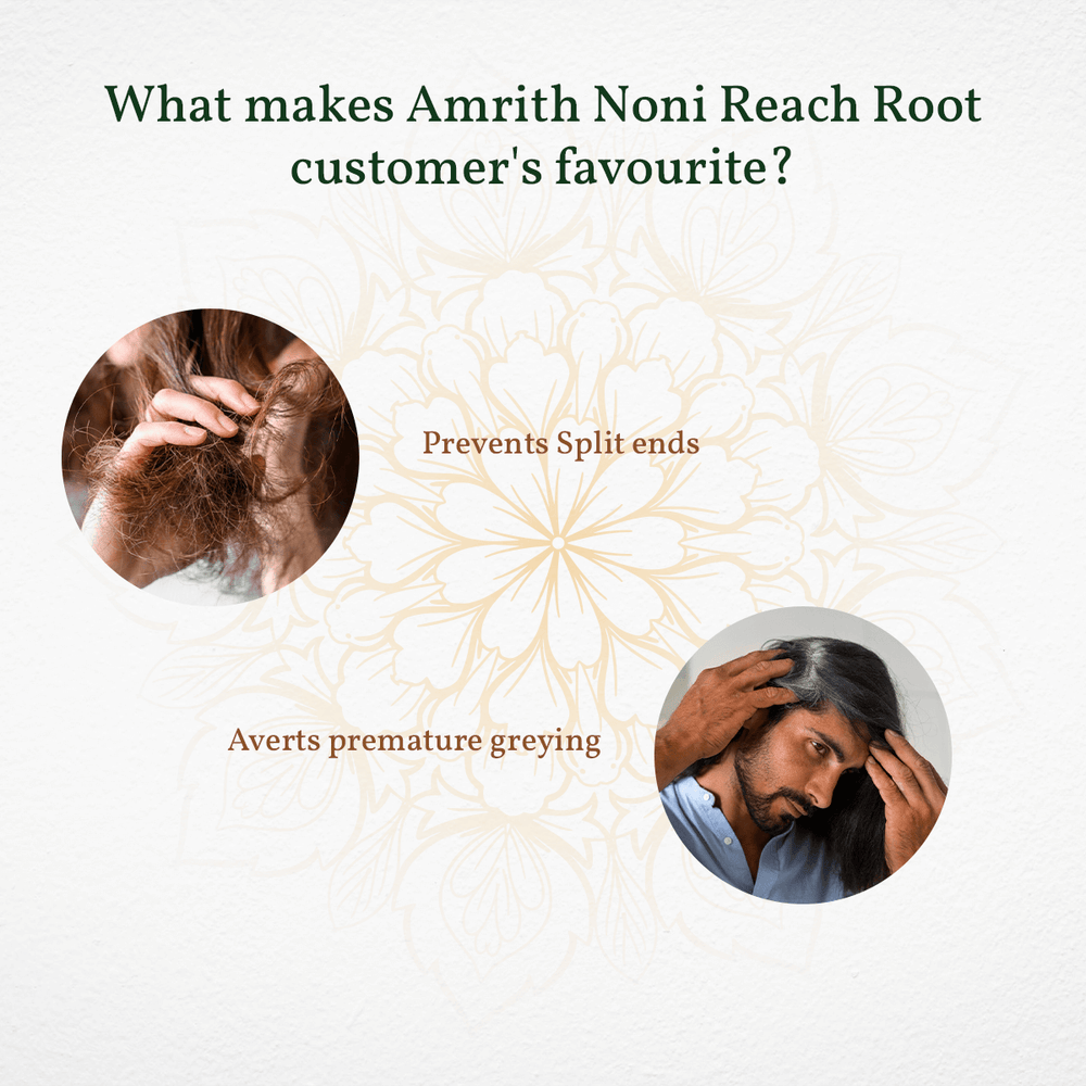 
                  
                    Promotional graphic for Amrith Noni Reach Root with images of hair care issues and solutions.
                  
                