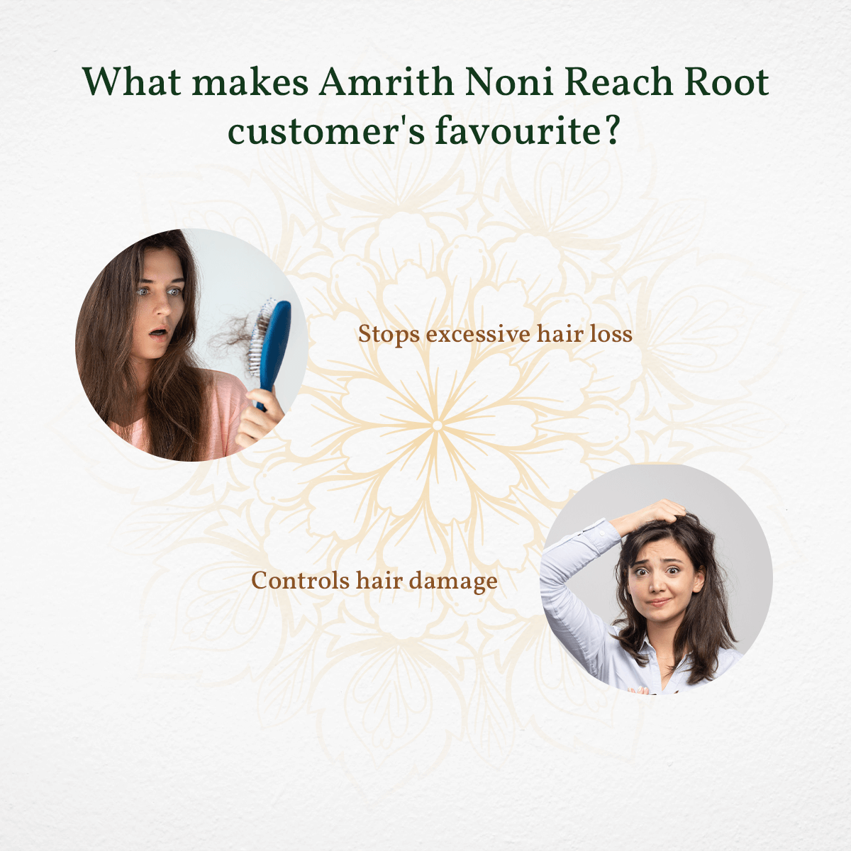 
                  
                    Promotional graphic for Amrith Noni Reach Root with images of a woman using the product and text highlighting its benefits.
                  
                
