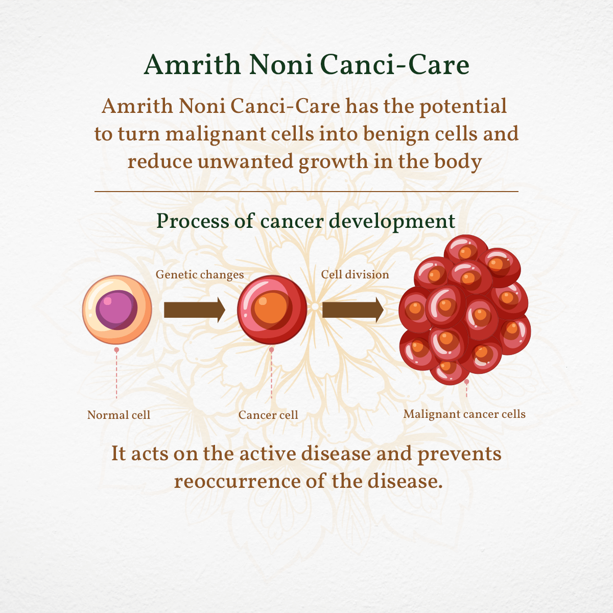 
                  
                    Diagram of cancer development with text about Amrith Noni Canci-Care on a light gray background
                  
                
