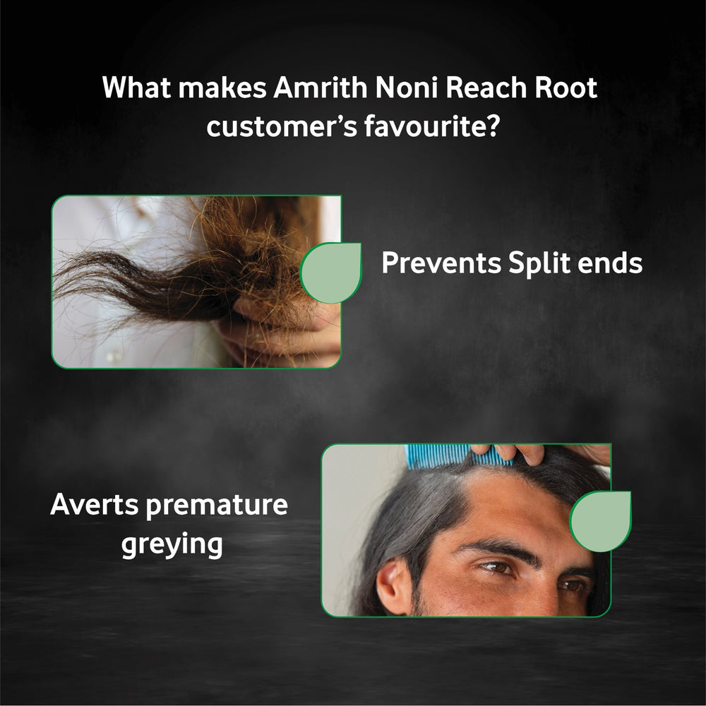 
                  
                    Amrith Noni Reach Root Premium Hair Oil
                  
                