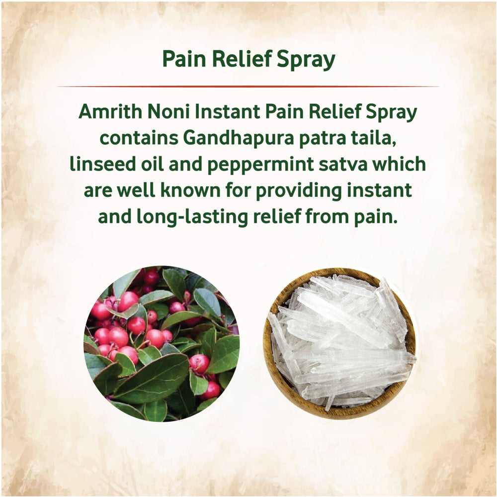 
                  
                    Amrith Noni Pain Relief Spray - 35g
                  
                